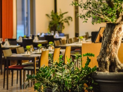Foto: Restaurant Einstein